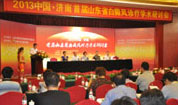 2013首届白癜风研讨会在济召开